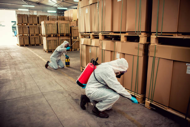 Trusted Pontiac, MI Pest Control Experts