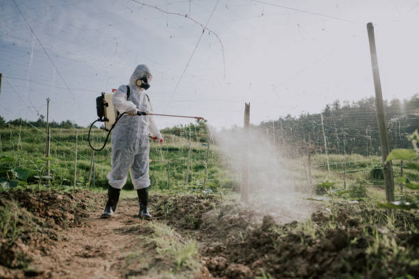Best Mosquito Control Services  in Pontiac, MI