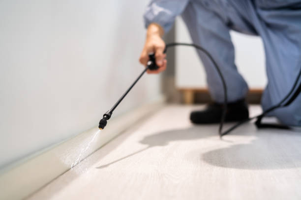 Best Termite Control Services  in Pontiac, MI