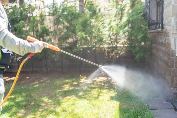 Best Wildlife Control Services  in Pontiac, MI