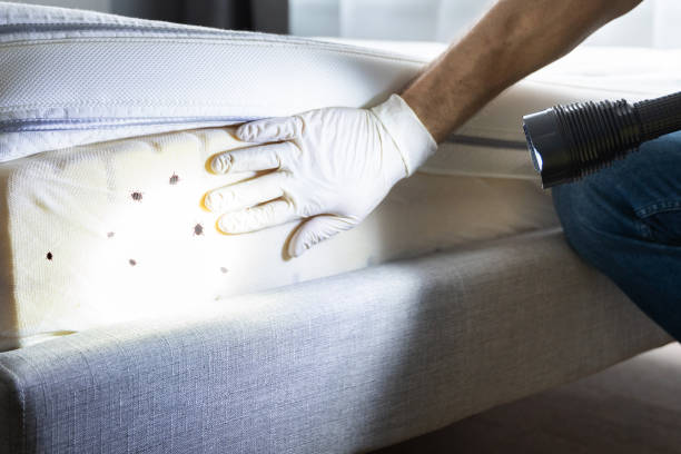 Best Best Pest Control Companies  in Pontiac, MI