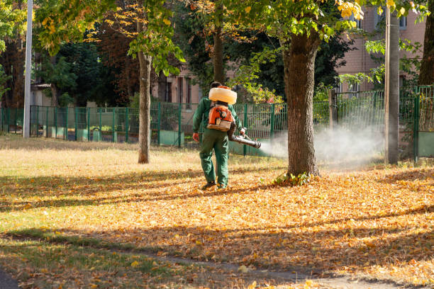 Best Commercial Pest Control Services  in Pontiac, MI